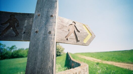 Photo by Nick Page on Unsplash