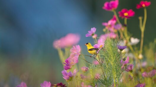 Photo by Ray Hennessy on Unsplash